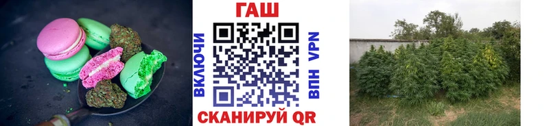 Купить  Кунгур  Canna-Cookies конопля 