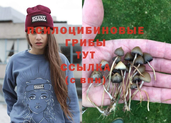мдпв Богородск