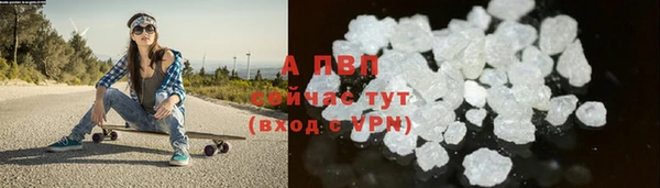 мдпв Богородск