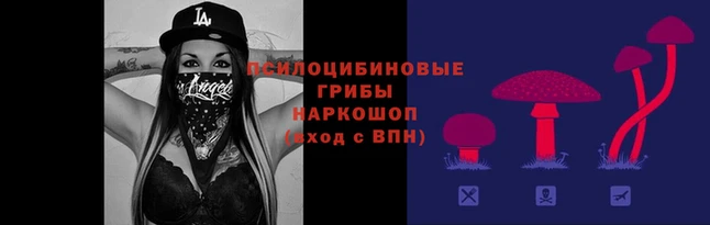 соль ск Богданович