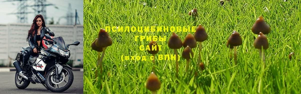 мдпв Богородск