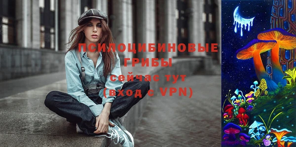 соль ск Богданович