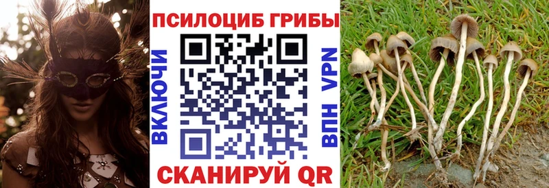 Псилоцибиновые грибы MAGIC MUSHROOMS  Купить где  Кунгур 